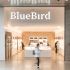 BluebirdBragaParque 109